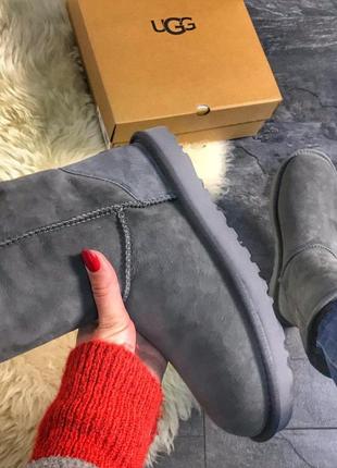 🌸ugg classic suede leather grey🌸угги женские зимние серые с мехом, жіночі зимові4 фото