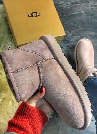 🌺ugg classic mini pink🌺зимние женские розовые угги/уги с мехом, жіночі зимові