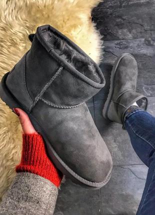 🌼ugg classic 2 ngrijire grey🌼угги женские зимние серые с мехом, жіночі зимові