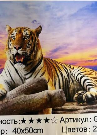 Набір алмазної мозаїки "гордий тигр" розмір 40*50 см1 фото