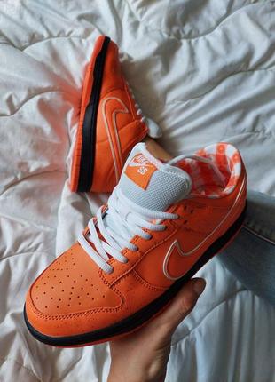 Женские кроссовки nike sb dunk low orange lobster7 фото