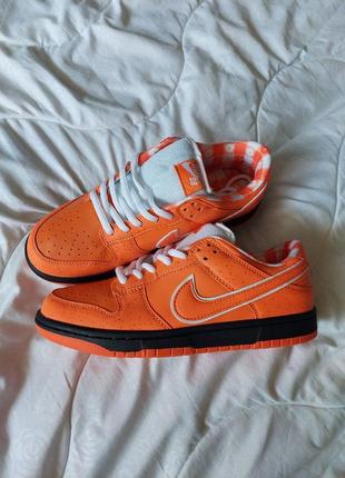 Женские кроссовки nike sb dunk low orange lobster5 фото