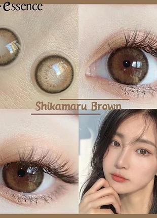 Кольорові лінзи коричневі shikamaru brown + контейнер для зберігання в подарунок
