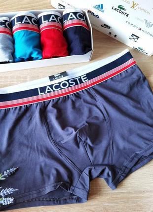 Боксеры lacoste в  полоску