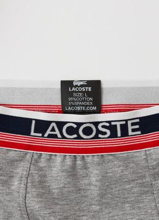 Боксеры lacoste в  полоску3 фото