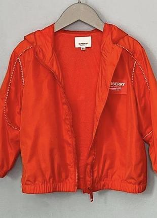 Вітровка burberry 2