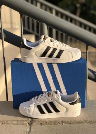 Жіночі кросівки adidas superstar4 фото