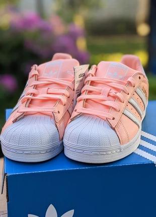 Женские кроссовки кеды adidas originals superstar b42001 оранжевые8 фото