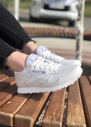 Жіночі кросівки reebok classic білого кольору8 фото