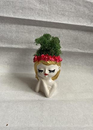 Кашпо для цветов суккуленты кактус