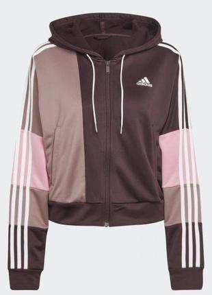 Худі adidas bold block tracksuit shadow maroon bordo hk0463