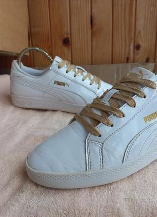 Кросівки puma Wns шкіра