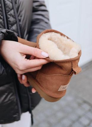 Шикарные женские сапоги ugg mini chestnut с густым мехом /осень/зима/весна😍3 фото