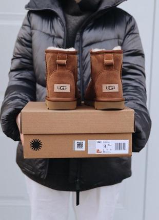 Шикарные женские сапоги ugg mini chestnut с густым мехом /осень/зима/весна😍4 фото