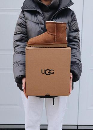 Шикарные женские сапоги ugg mini chestnut с густым мехом /осень/зима/весна😍5 фото