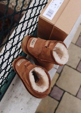 Шикарные женские сапоги ugg mini chestnut с густым мехом /осень/зима/весна😍6 фото