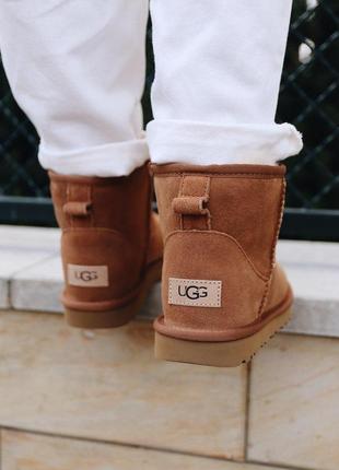 Шикарные женские сапоги ugg mini chestnut с густым мехом /осень/зима/весна😍7 фото