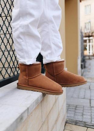 Шикарные женские сапоги ugg mini chestnut с густым мехом /осень/зима/весна😍8 фото