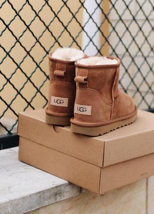 Шикарные женские сапоги ugg mini chestnut с густым мехом /осень/зима/весна😍9 фото