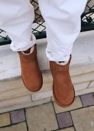 Шикарные женские сапоги ugg mini chestnut с густым мехом /осень/зима/весна😍10 фото