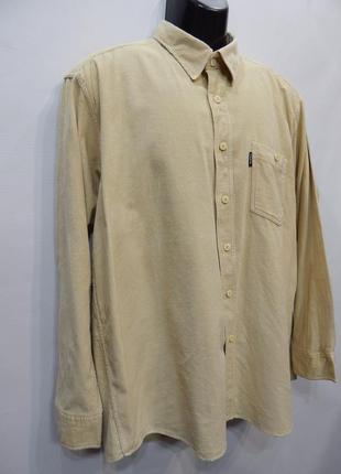 Чоловіча тепла вельветова сорочка з довгим рукавом vesta р.52 082rtx (тільки в зазначеному розмірі,4 фото