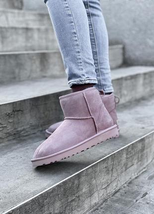 Раскошные замшевые женские зимние угги с нат. мехом ugg2 фото