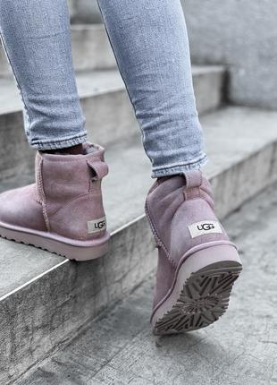 Раскошные замшевые женские зимние угги с нат. мехом ugg