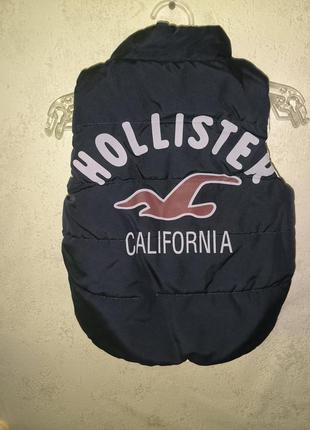 Безрукавка, желетка дитяча hollister2 фото