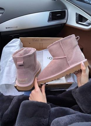 😍ugg classic short dus😍 женские зимние угги с мехом2 фото