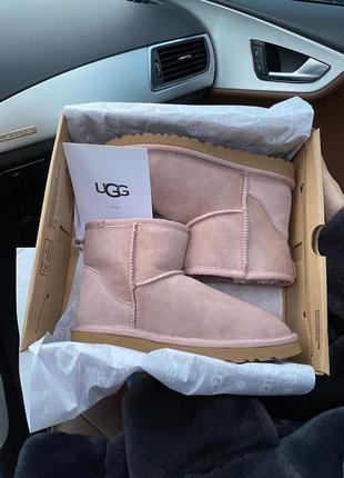 😍ugg classic short dus😍 женские зимние угги с мехом5 фото