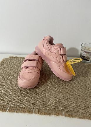 Кросівки для дівчинки тм clibee 34-35-36-376 фото