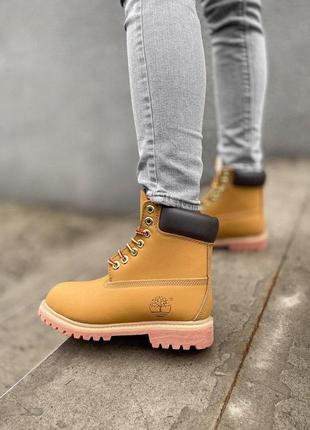 Знижка 500 грн! шикарні зимові черевики timberland ginger унісекс 😍 (термо/ еврозима)