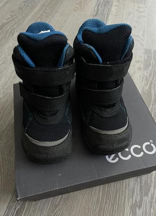 Дитячі чоботи черевики ecco ботинки сапоги 3