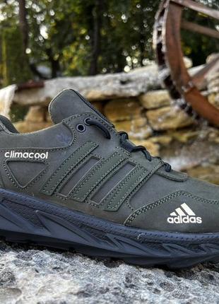 Кроссовки мужские кожаные adidas climacool olive