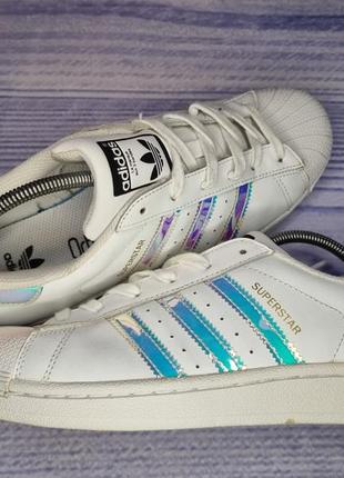 Кеды adidas superstar