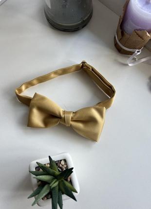 Бабочка горчичная