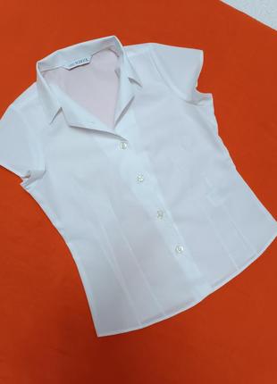 Блуза для девочки m&amp;s collection 5-6 лет/110/116