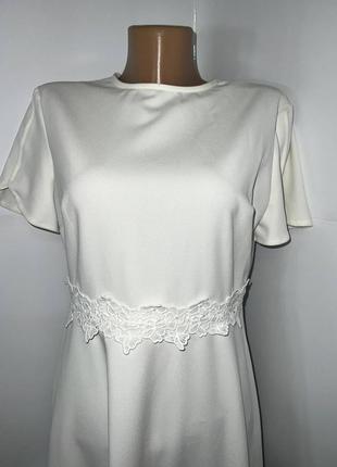 Сукня жіноча біла petites розмір xs (s)  / 423 фото