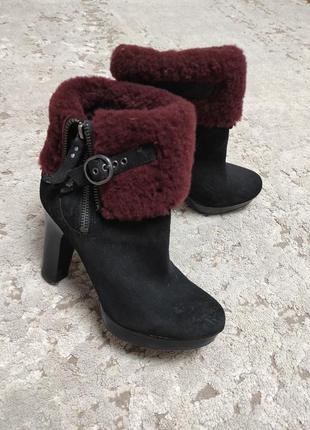 Демі жіночі черевики ugg оригінал