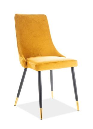 Стілець signal piano velvet карі (pianovccu) чорні ніжки із золотими елементами