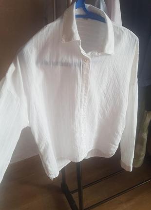 Рубашка белая colins1 фото