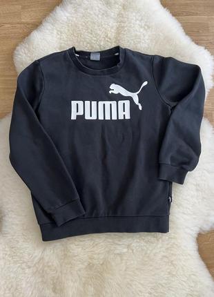 Худі пума