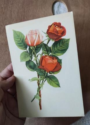 Открытка "розы" 1968 г. таллин1 фото