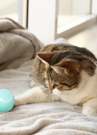 Самостійно обертовий м'яч для котят smart-ball9 фото