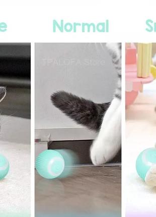 Самостійно обертовий м'яч для котят smart-ball6 фото