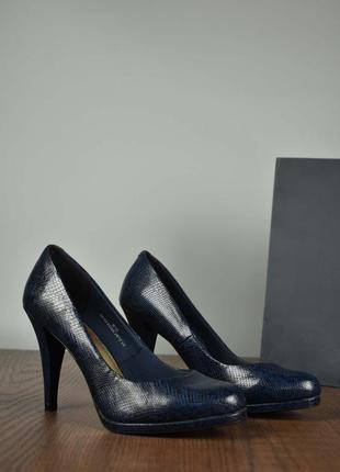 Жіночі туфлі принт змії екошкіра синє розмір 38.5
