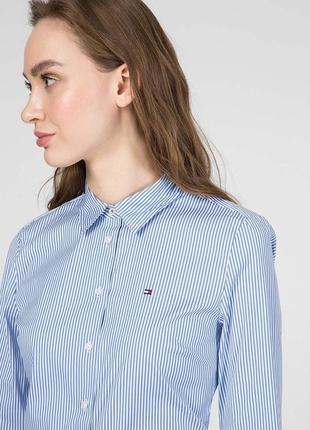 Классическая рубашка, блуза, рубашка в полоску, полоска, голубая.