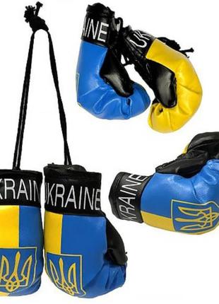 Боксерські рукавички україна
в машину