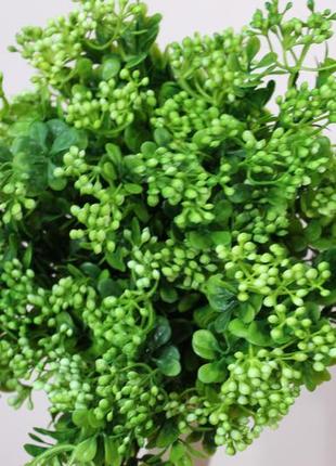 Зелень на веточке зеленая