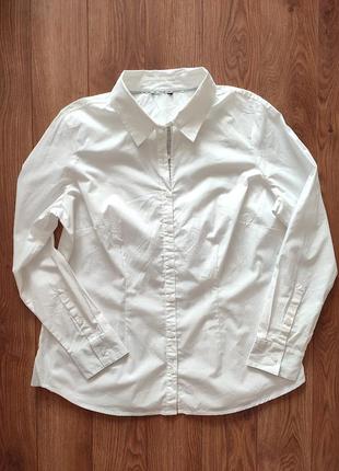 L 46 eur.белая хлопковая рубашка tcm tchibo5 фото